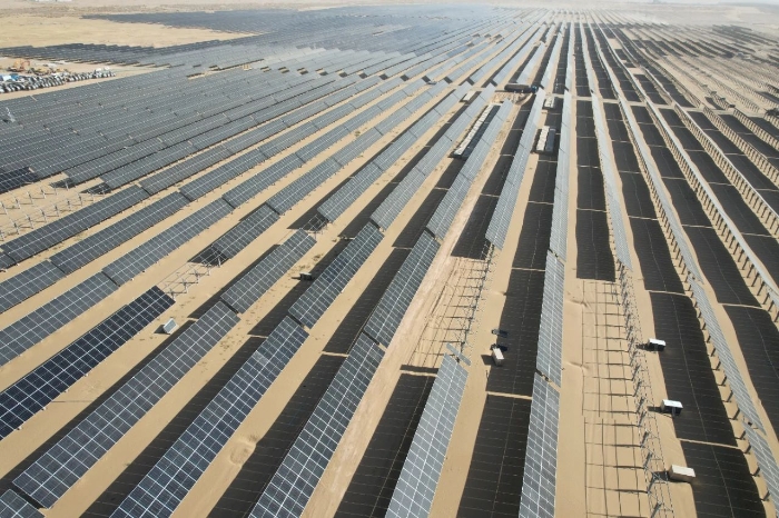 55ad0079ab1342c6af68318229d9c613