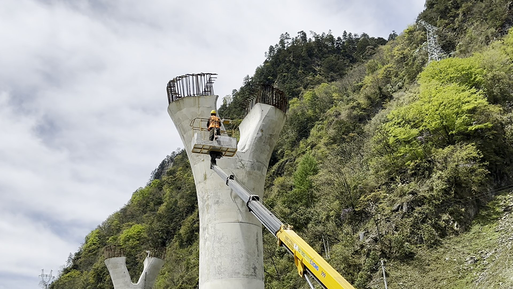 6ea8aaec246e4bb9a824b6217140f58a