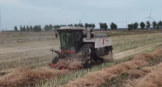 尊凯实业·(中国区)集团公司官网