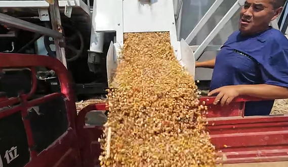 尊凯实业·(中国区)集团公司官网