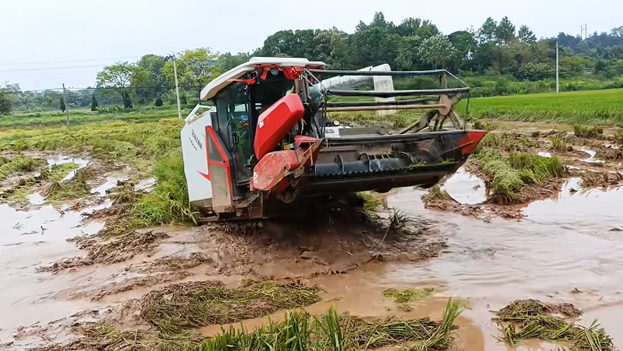 33189c38d8d44abb9f22d7e6569e6552