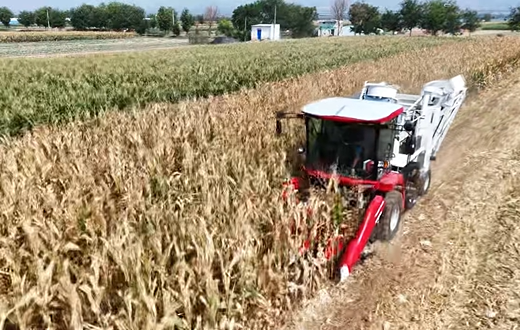 尊凯实业·(中国区)集团公司官网