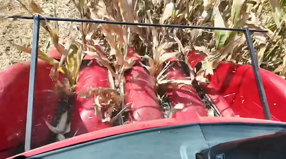 尊凯实业·(中国区)集团公司官网