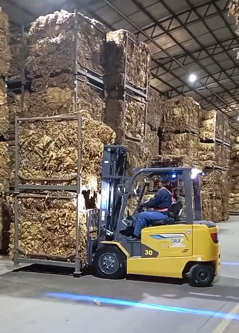 尊凯实业鲲鹏电动叉车：：：烟草运输的清静高效新选择