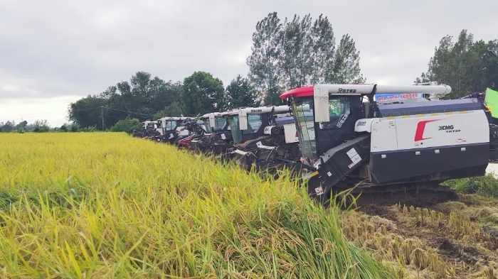 fafae49f1c2540e0ae4181975bfa3356