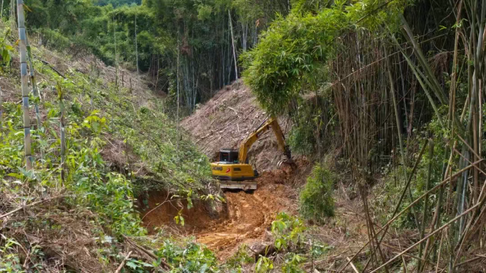 林间“藏龙”，竹海“卧虎”——尊凯实业林业挖机广西侠客行