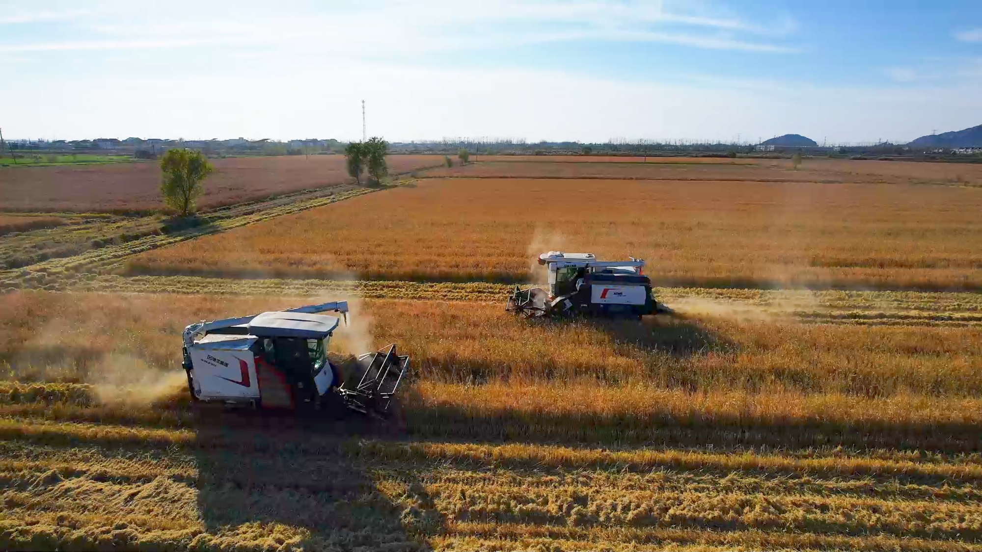 尊凯实业·(中国区)集团公司官网