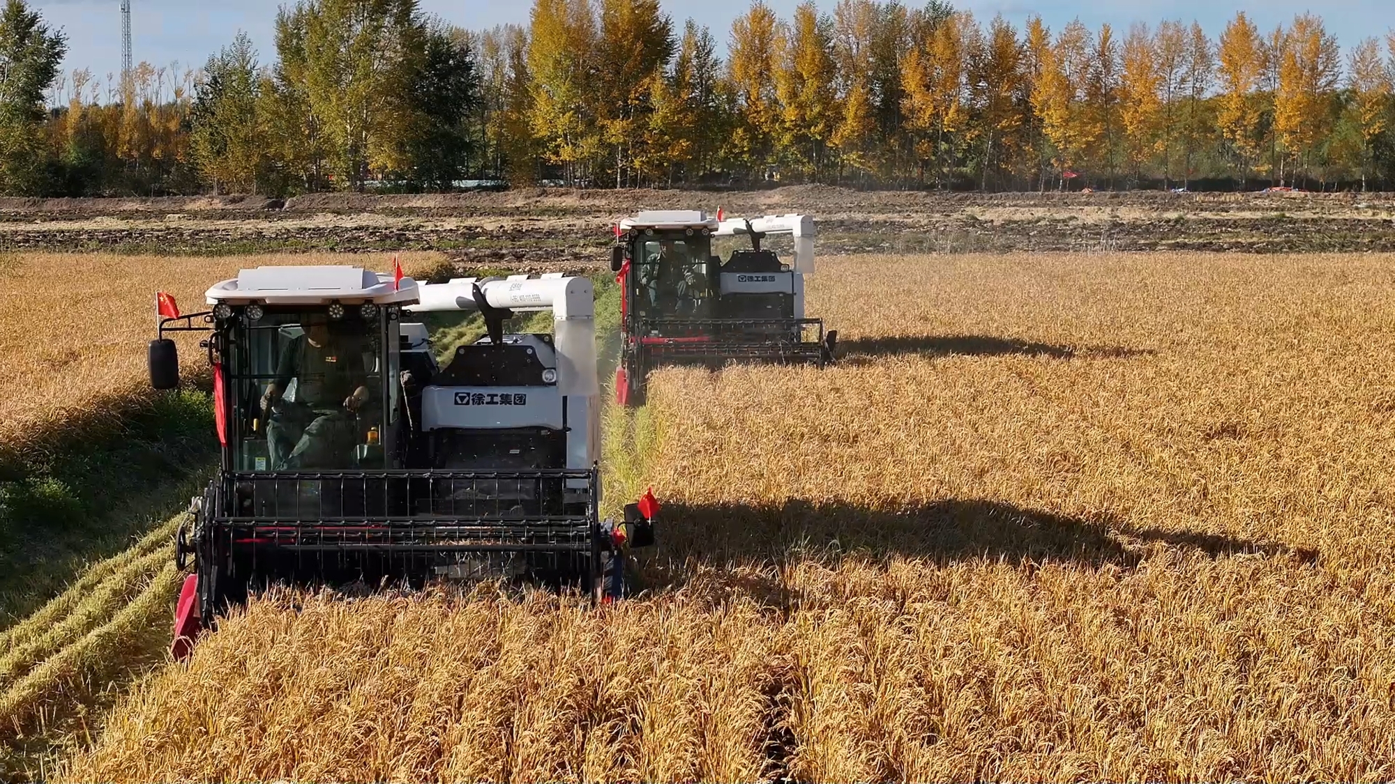 尊凯实业·(中国区)集团公司官网