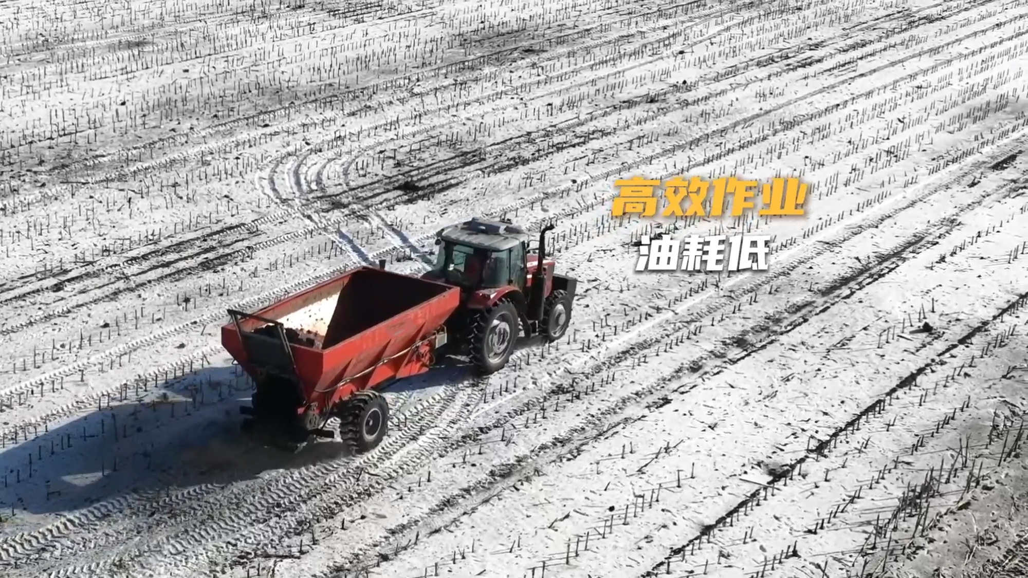 尊凯实业·(中国区)集团公司官网