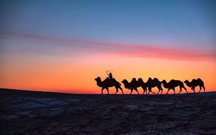 21d697de3ccd4554873a9a14dc6e3c5c